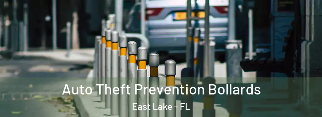 Auto Theft Prevention Bollards East Lake - FL
