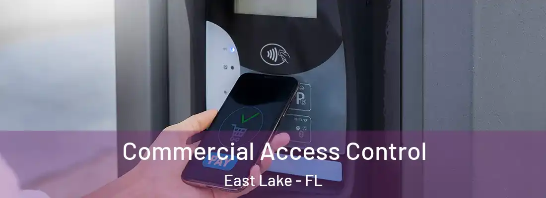 Commercial Access Control East Lake - FL