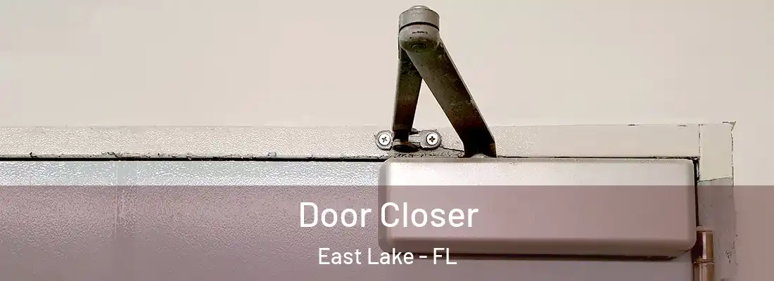 Door Closer East Lake - FL