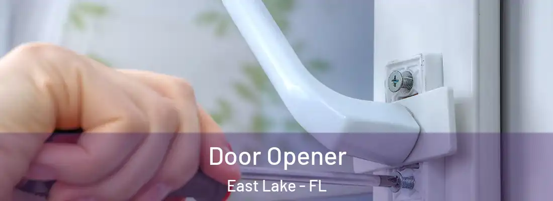 Door Opener East Lake - FL