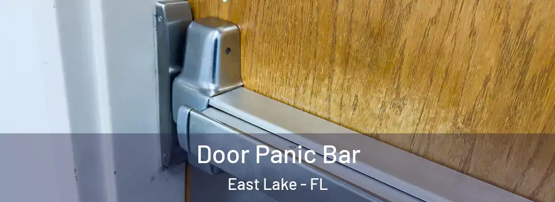 Door Panic Bar East Lake - FL