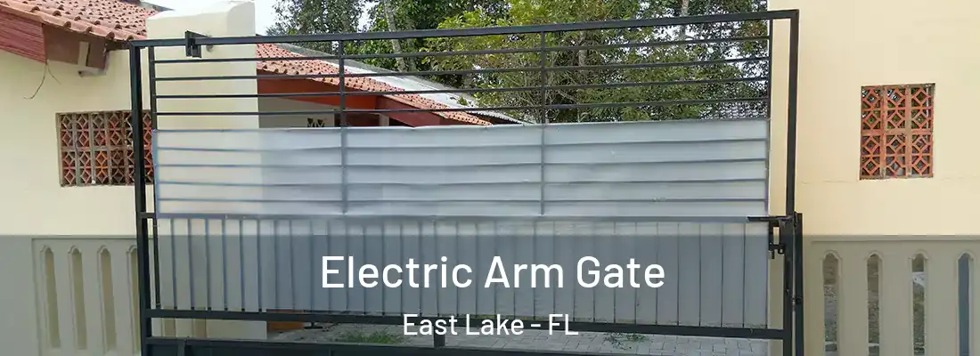Electric Arm Gate East Lake - FL