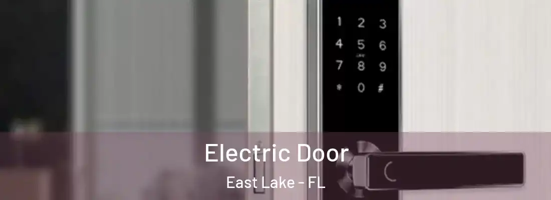 Electric Door East Lake - FL