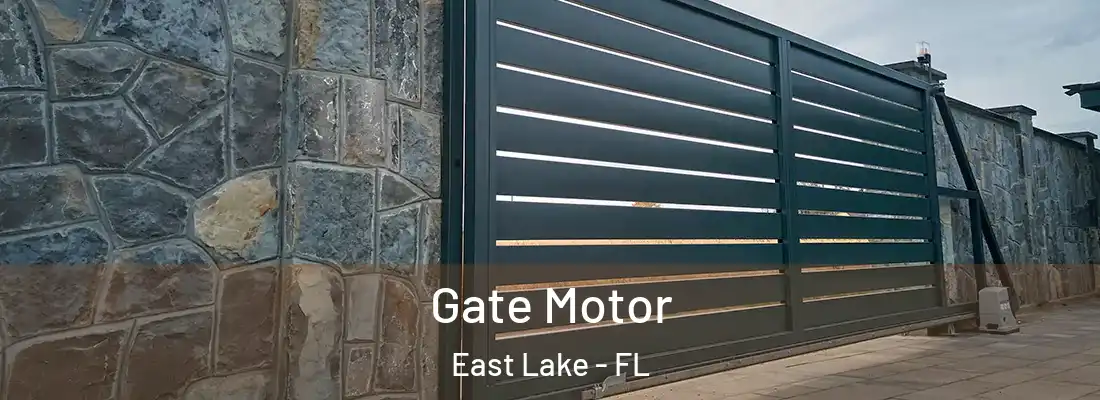 Gate Motor East Lake - FL