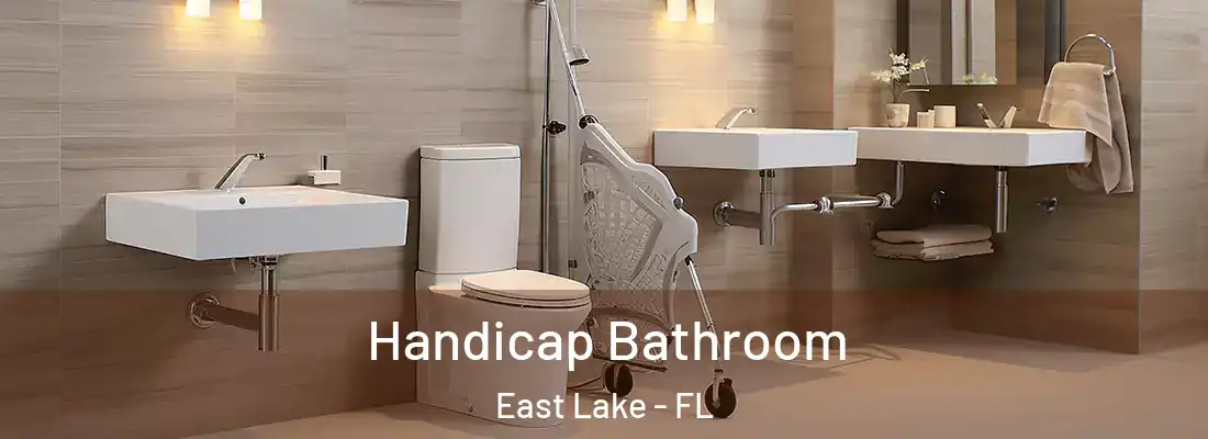 Handicap Bathroom East Lake - FL