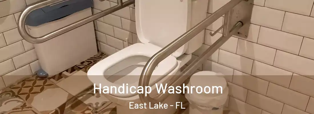 Handicap Washroom East Lake - FL