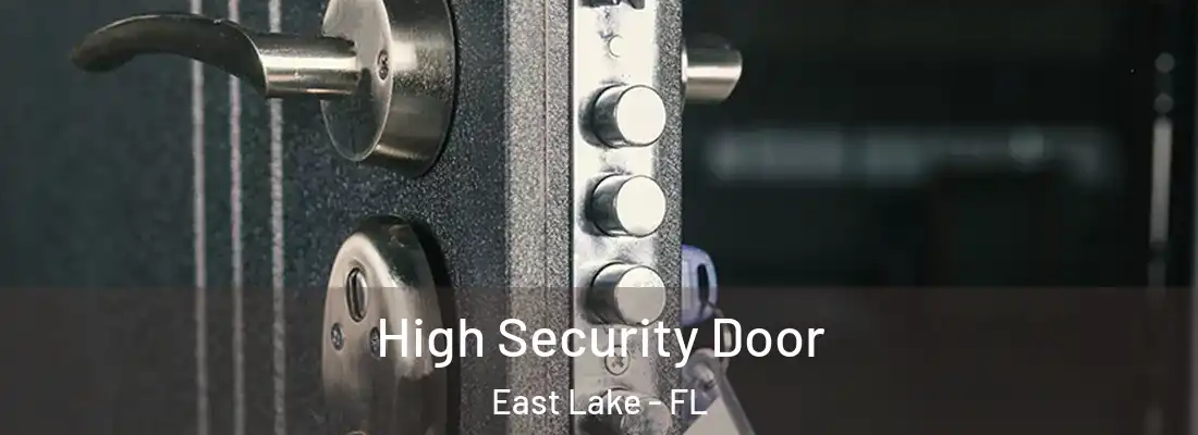 High Security Door East Lake - FL