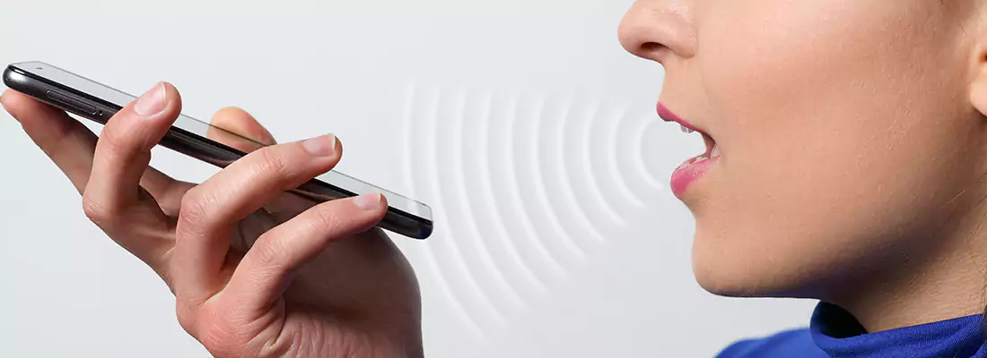 Residential and Commercial Voice Recognition Access Solutions in East Lake, FL