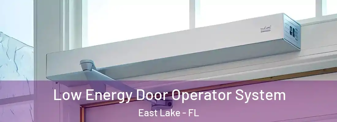  Low Energy Door Operator System East Lake - FL