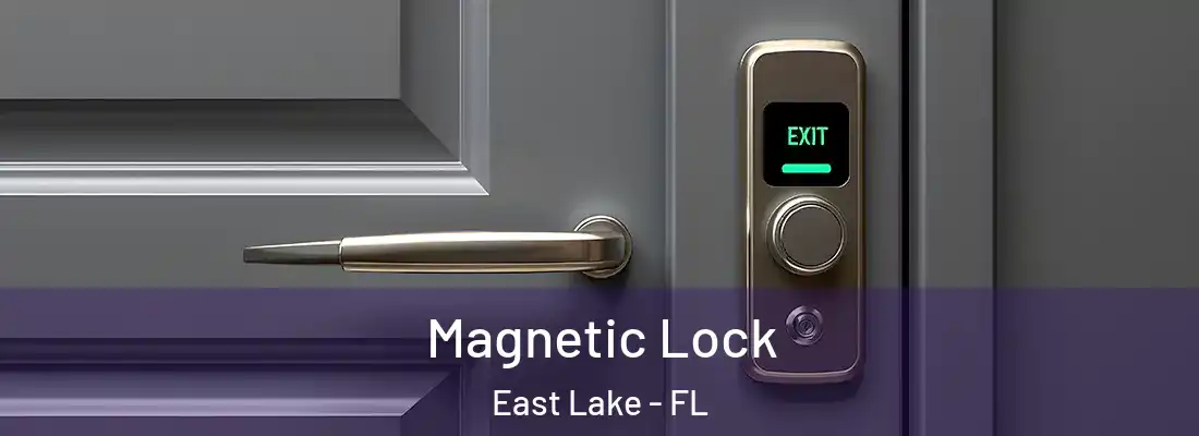 Magnetic Lock East Lake - FL