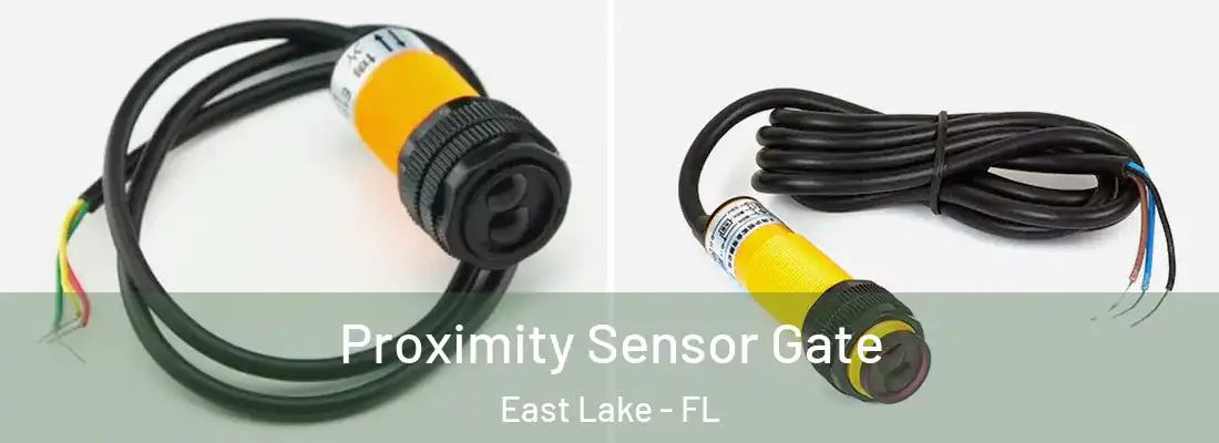 Proximity Sensor Gate East Lake - FL