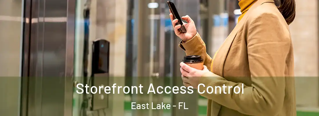 Storefront Access Control East Lake - FL